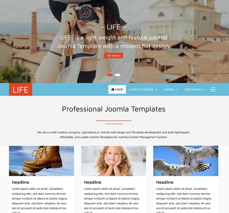 Joomla Template Life